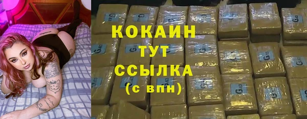меф Арсеньев