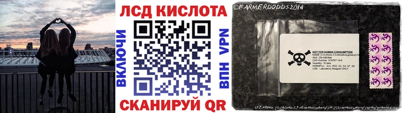 Купить закладки Трубчевск Наркотические марки 1,5мг